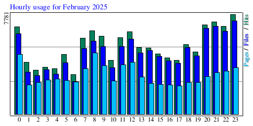 Hourly usage for February 2025